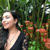 Mia Jewel Shop: Monarch Butterfly Earrings