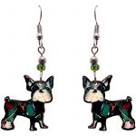 Modern Boston Terrier