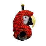 Scarlet Macaw