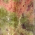 Green Unakite